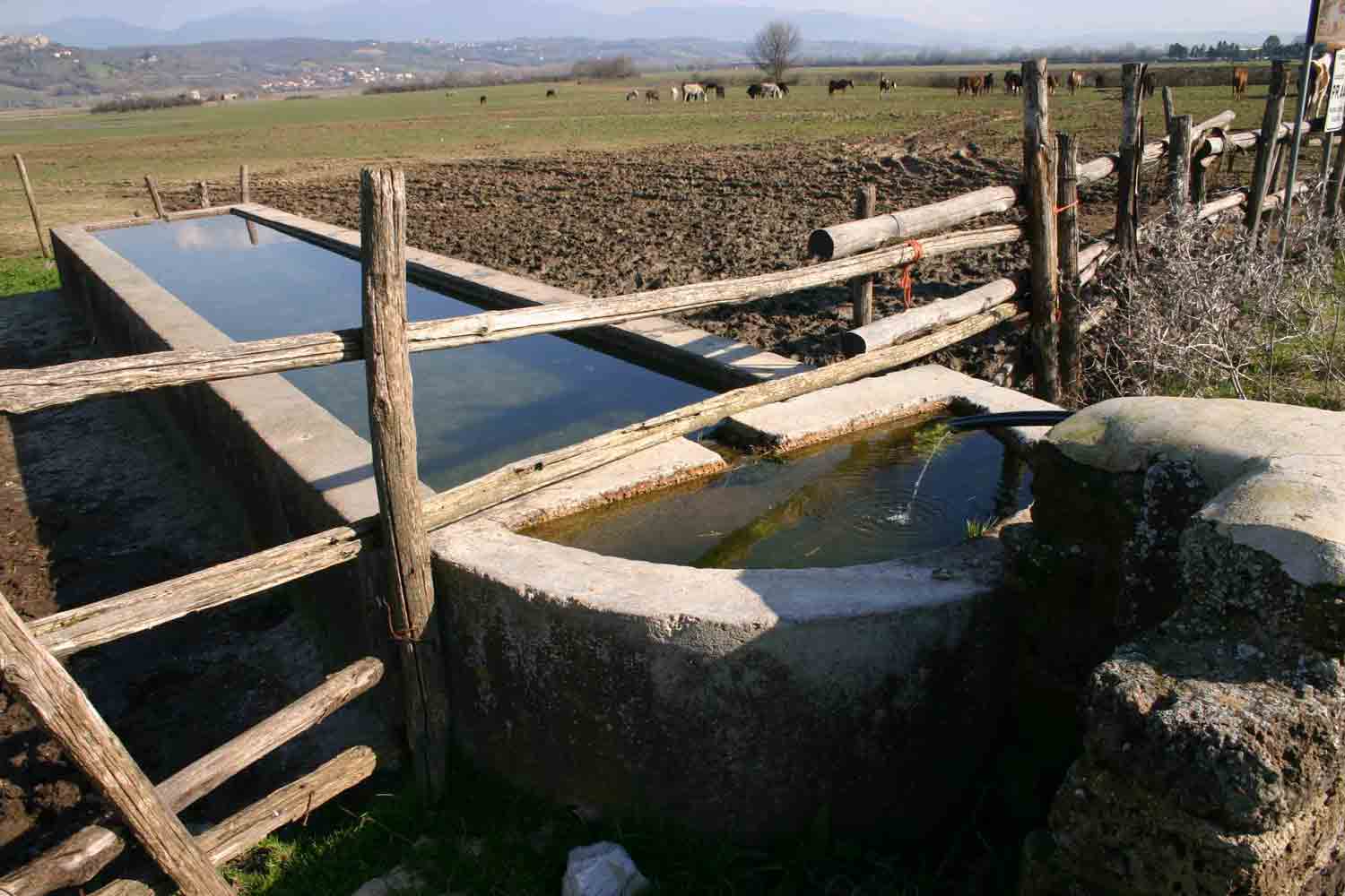 Fontanili del Lazio